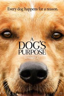 A Dog\'s Purpose - หมา เป้าหมาย และเด็กชายของผม