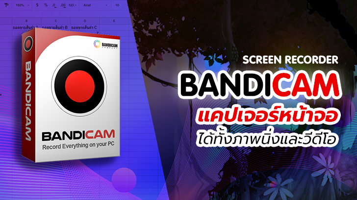 bandicam screen recorder stopping randomly bandicam screen recorder stopping randomly