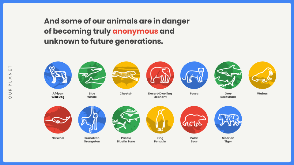 สัตว์นิรนาม (Anonymous Animals) บนไฟล์ Google Drive มีที่มาอย่างไร